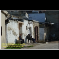 17417 04 023 Aphamea Syrien 2011.JPG